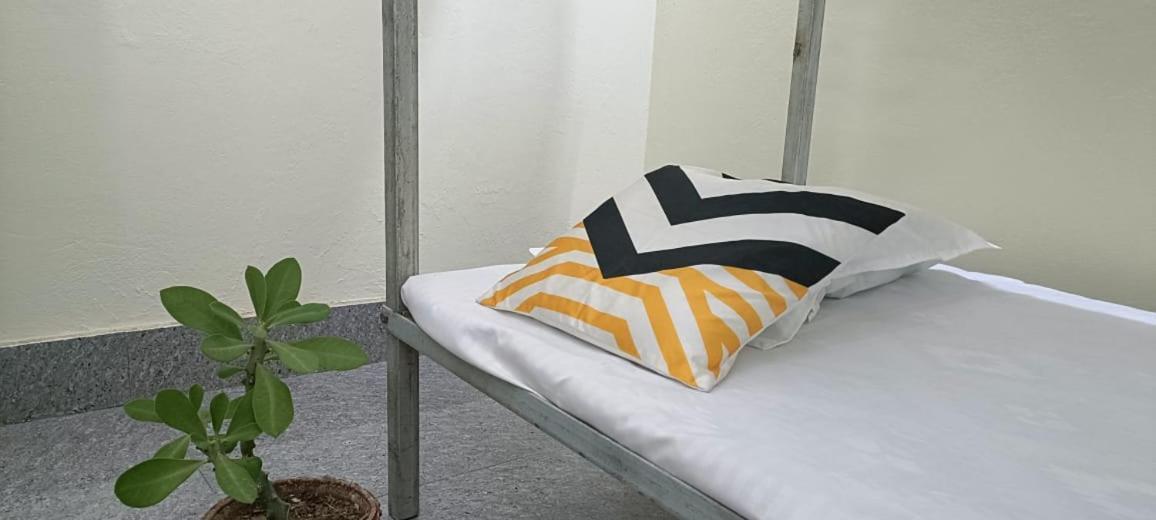 Nikunj Dorme Hostel Rádzsgír Kültér fotó